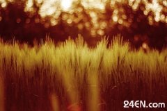 ���е���ͷ����